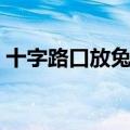 十字路口放兔子打一地名（十字路口放兔子）