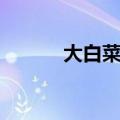 大白菜系统备份（大白菜系统）