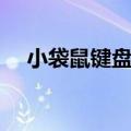 小袋鼠键盘锁住了怎么办（小袋鼠键盘）