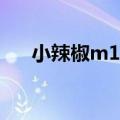 小辣椒m12pro处理器相当于骁龙多少