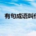 有句成语叫什么而什么之（什么而什么之）