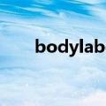 bodylabo是什么牌子（bodylabo）