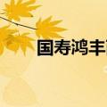 国寿鸿丰两全保险(分红型)(2005版)