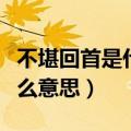 不堪回首是什么意思成语故事（不堪回首是什么意思）