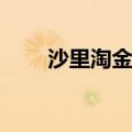 沙里淘金的近义词是什么(最佳答案)