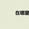 在哪里找黄牛抢票（黄牛抢票）
