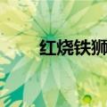 红烧铁狮子头图片（红烧铁狮子头）