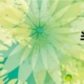 半个鸟巢取消结果。