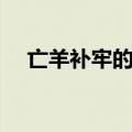 亡羊补牢的道理简短（亡羊补牢的道理）