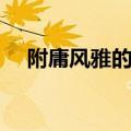 附庸风雅的反义词语（附庸风雅反义词）