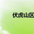 伏虎山区惨祸真实报道（伏虎山区）