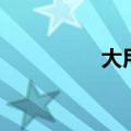 大用英语怎么说（大用）