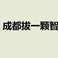成都拔一颗智齿多少钱（拔一颗智齿多少钱）