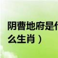 阴曹地府是什么生肖科学爆出（阴曹地府是什么生肖）