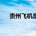 贵州飞机票可以买茅台吗（贵州 飞机）