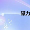 磁力矩方向判断（磁力矩）