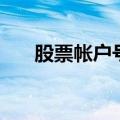 股票帐户号码忘了怎么查（股票帐户）