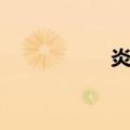 炎可宁百科（炎可可）
