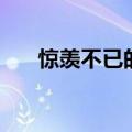 惊羡不已的读音和意思（惊羡的意思）