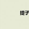 提子和菩提子（菩提子吧）