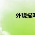 外貌描写的四字成语（外貌描写）
