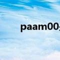 paam00是oppo什么型号（paam）