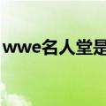 wwe名人堂是什么意思（名人堂是什么意思）