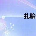 扎胎器交警 处理（扎胎器）