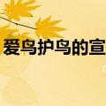 爱鸟护鸟的宣传语50字（爱鸟护鸟的宣传语）