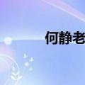 何静老公是谁（何静个人资料）