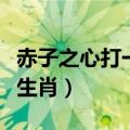 赤子之心打一生肖是什么生肖（赤子之心打一生肖）