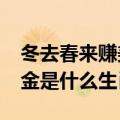 冬去春来赚美金是什么生肖?（冬去春来赚美金是什么生肖）