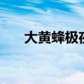 大黄蜂极夜一套多少钱（大黄蜂极夜）