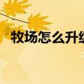 牧场怎么升级最快（农场种什么升级最快）