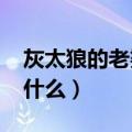 灰太狼的老婆叫什么名字?（灰太狼的老婆叫什么）