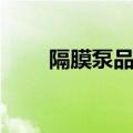 隔膜泵品牌十大排名（隔膜泵品牌）