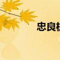 忠良机械怎么样（忠良机械）