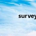 surveyed youth（surveyed）