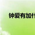钟爱有加什么意思?（钟爱有加的意思）