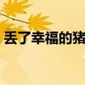 丢了幸福的猪歌词视频（丢了幸福的猪歌词）