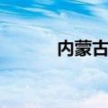 内蒙古金矿事故（内蒙古金矿）
