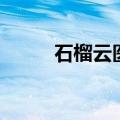 石榴云医的药可靠吗（石榴云医）