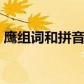 鹰组词和拼音和成语和部首（鹰组词和拼音）