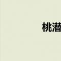 桃潜叶蛾雌雄（桃潜叶蛾）
