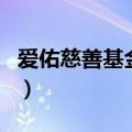 爱佑慈善基金会理事长（爱佑慈善基金会资助）