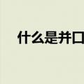 什么是并口和串口（串口和并口的区别）