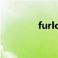 furlong研究怎么读（furl）