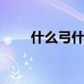什么弓什么影四字（什么弓什么影）