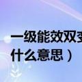 一级能效双变频冰箱是什么意思（变频冰箱是什么意思）