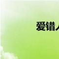 爱错人的歌词（爱错人歌词）